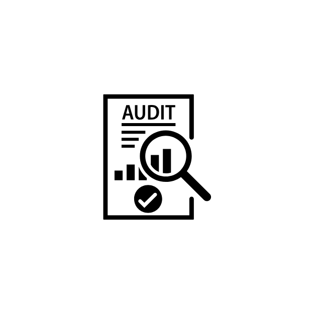 Audit